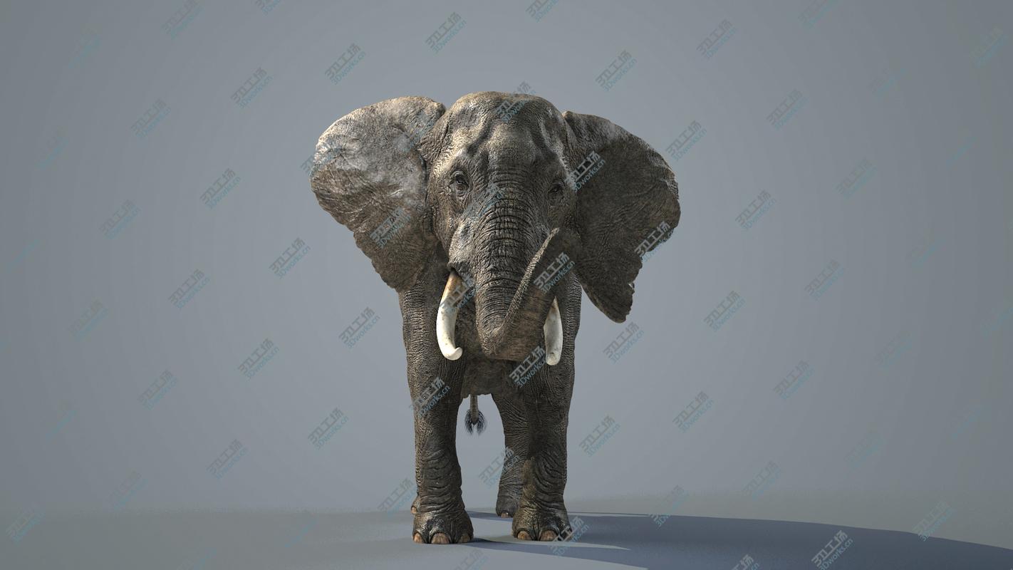 images/goods_img/202105072/3D model Elephant-Maya-Animated/4.jpg
